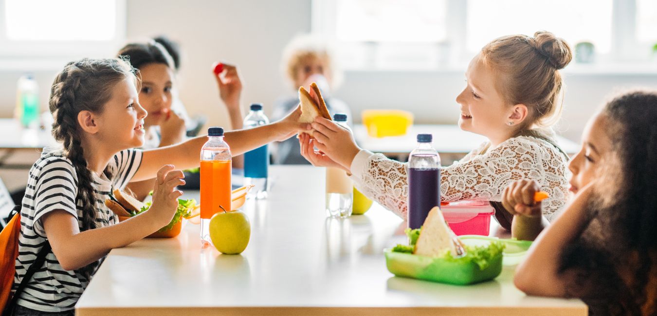 I servizi sociali. Servizi alla persona e servizi di refezione scolastica nel nuovo Codice dei contratti pubblici - Sara Bernasconi